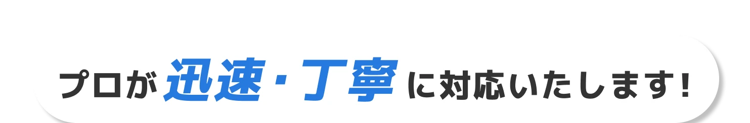 プロが迅速・丁寧に対応いたします！